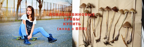 метадон Краснослободск