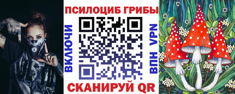 Псилоцибиновые грибы GOLDEN TEACHER  Купить закладки  Красный Сулин 
